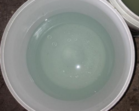 国产精品麻豆成人AV电影艾秋